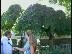 Secret Garden Tour 2009