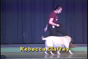 HHS Talent Show 2015