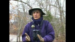 Weir River Bird Walk & Osprey Banding