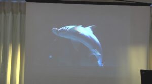 Lecture: NE Aquarium Sea Mammal Rescue