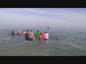Drowned Hogs 2014