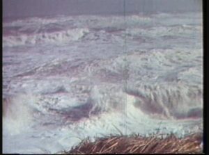 Beach Management Film