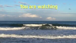 Surfing Station ID