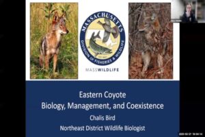 Coexisting with Coyotes 2025